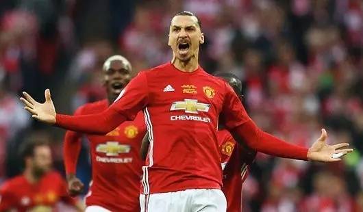 组织的专业 组织的专业